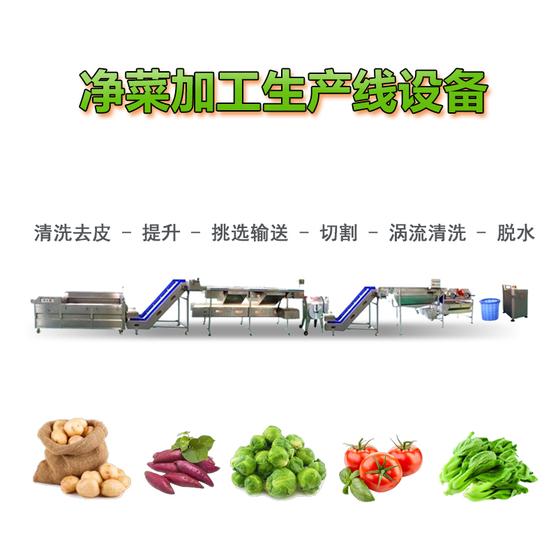 凈菜加工設(shè)備-商用洗菜機