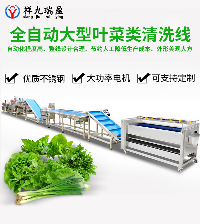 大型葉菜類清洗線生產(chǎn)流程與配套設備，你知道有多少？